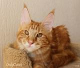 img_9938_1.jpg